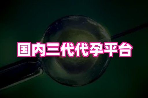61助孕网 3